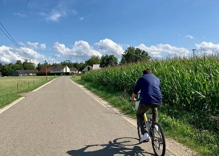 Wohnen Im Wasserschloss Sandizell